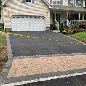 Asphalt Deer Park